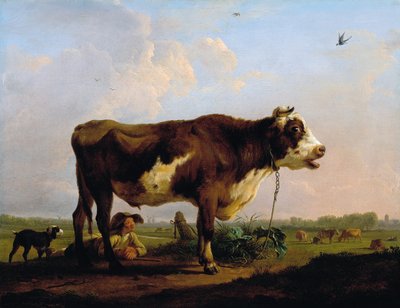 A Bull by Balthasar Paul Ommeganck